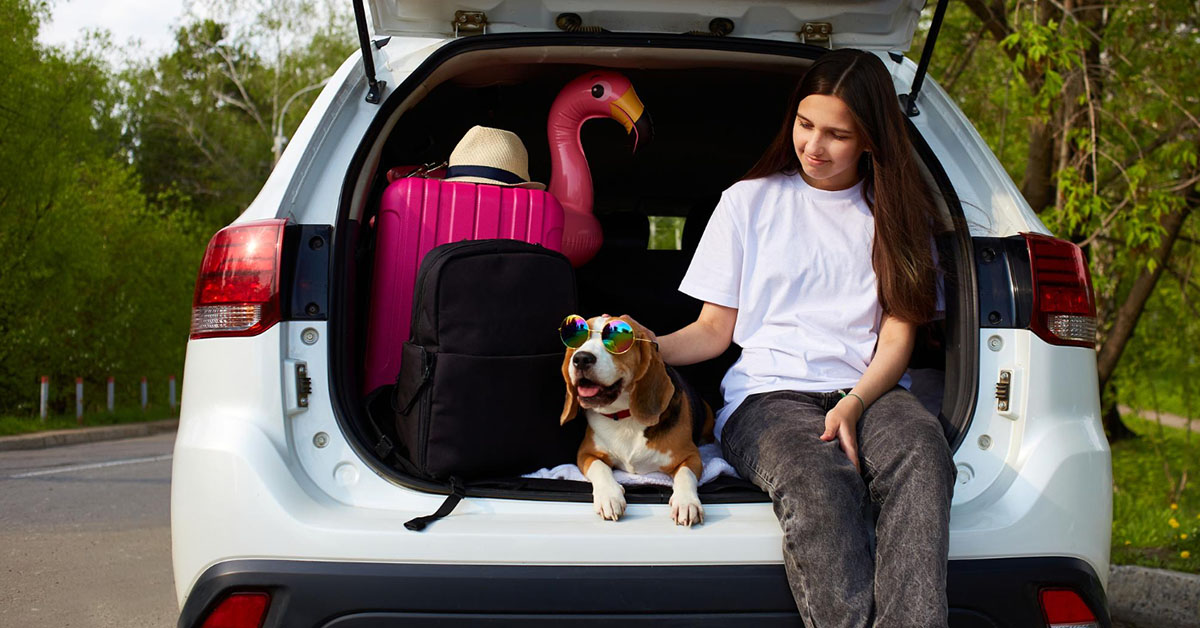 Help Dogs Feel More Comfortable in the Car