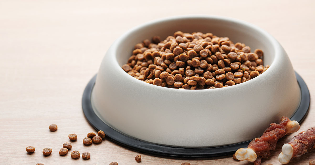 Pros and Cons of Grain Free Diets for Dogs