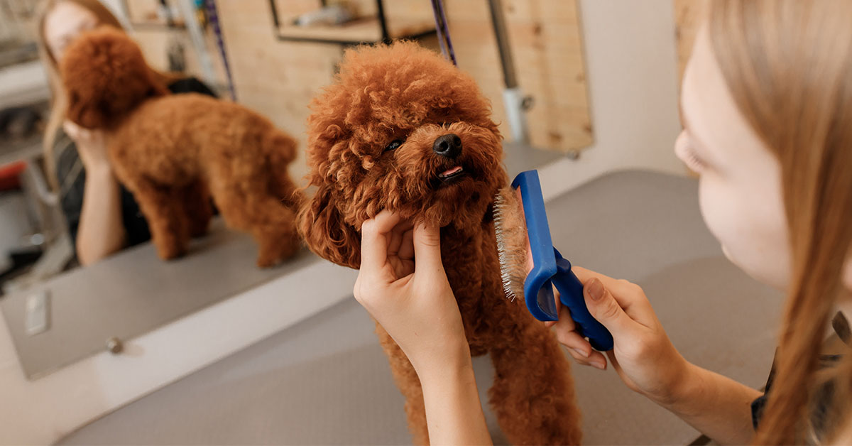 Brushing