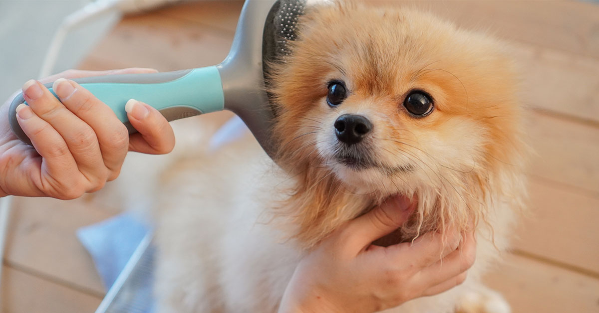 Handling Shedding