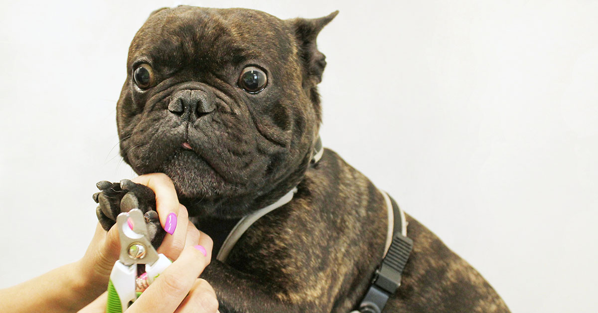 Nail Care