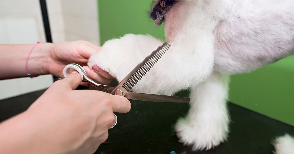 Trimming Extra Hair