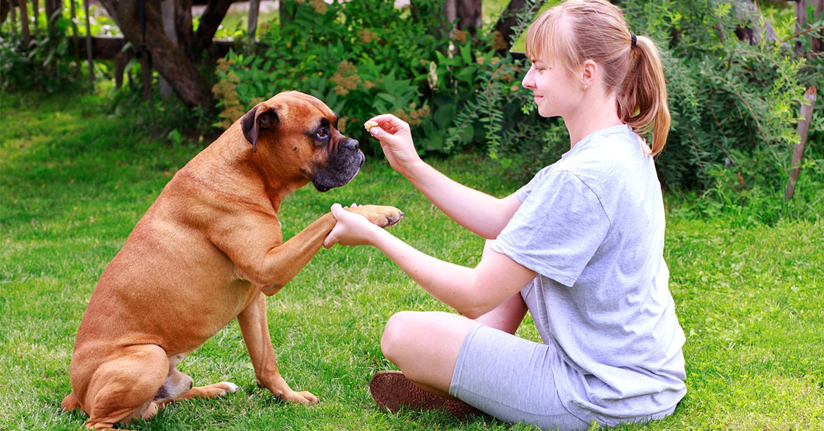 Use Hand Signals for Communication