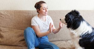 how to care for a deaf dog