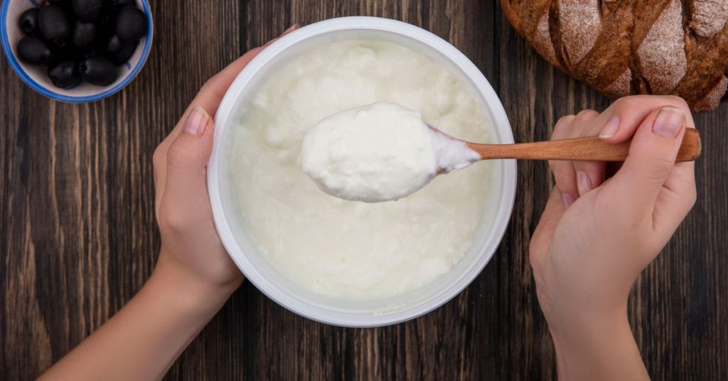 Can Dogs Eat Greek Yogurt?