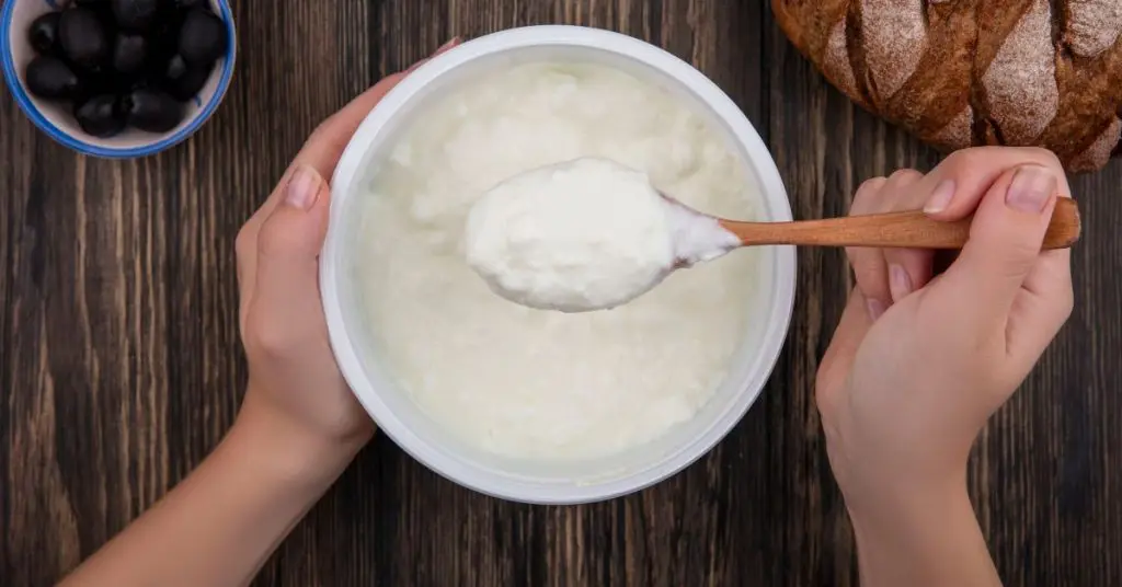 Can Dogs Eat Greek Yogurt?