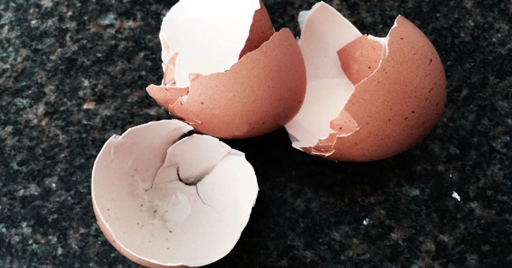 Can Dogs Eat Egg Shells?