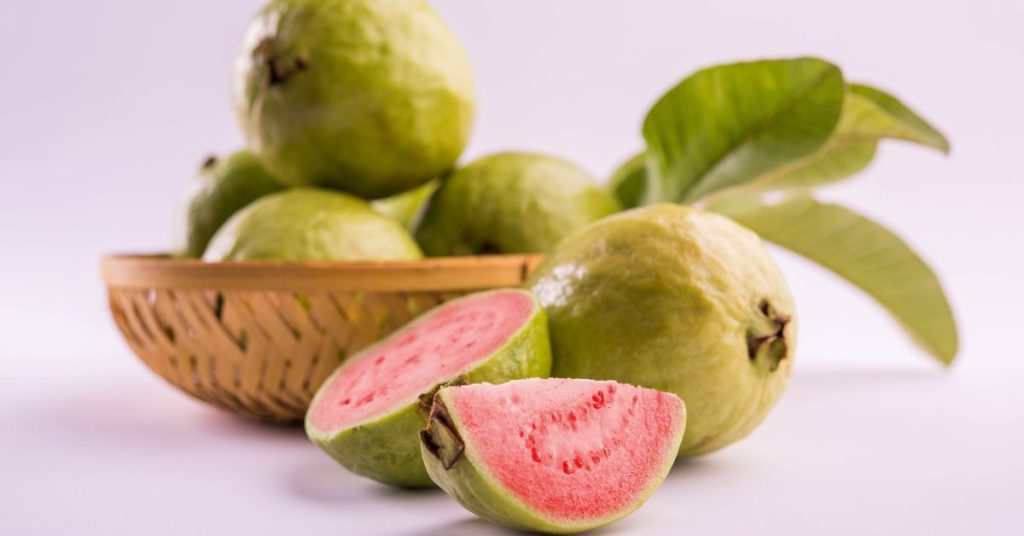 Can Dogs Eat Guava?