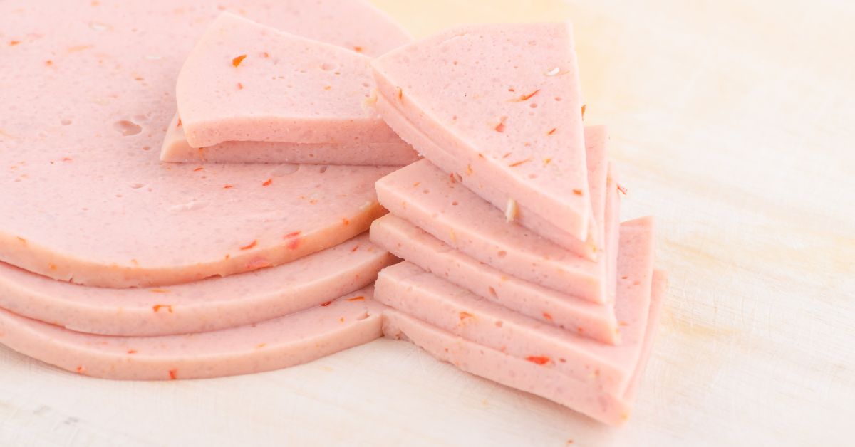 What is Bologna