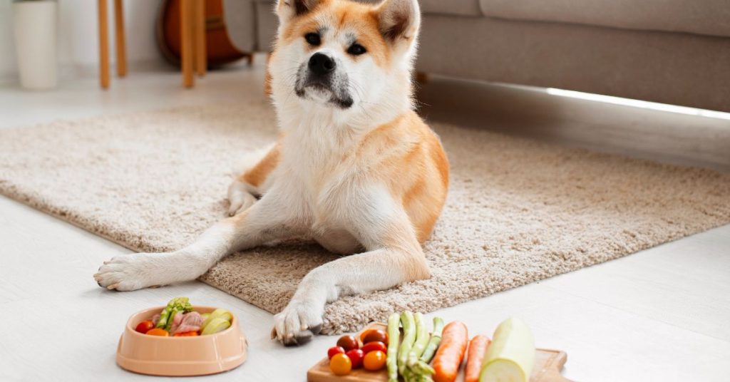 How Long Can A Dog Go Without Eating?