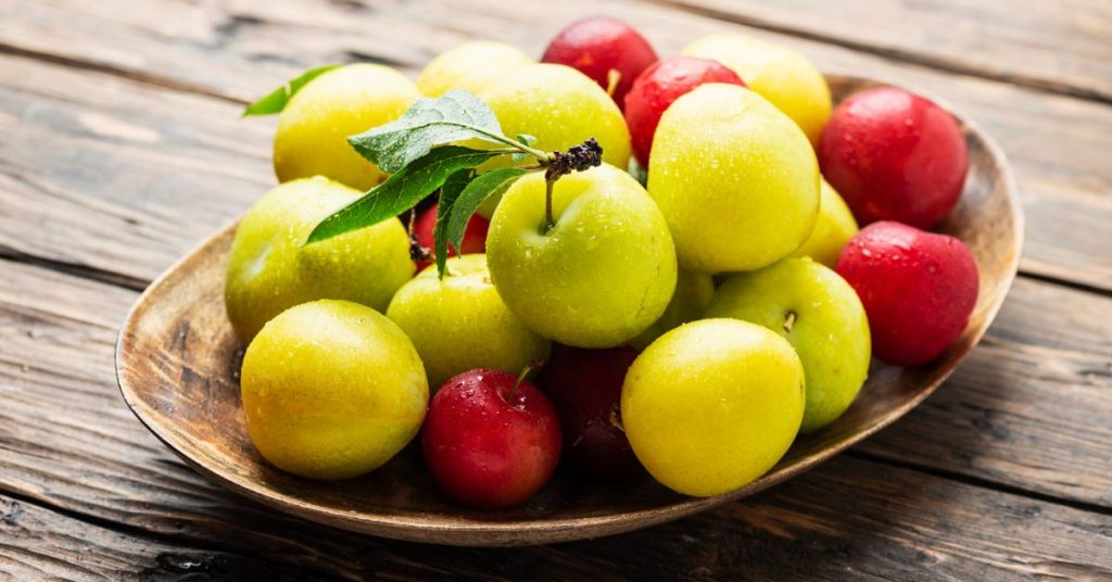 Can Dogs Eat Crab Apples?