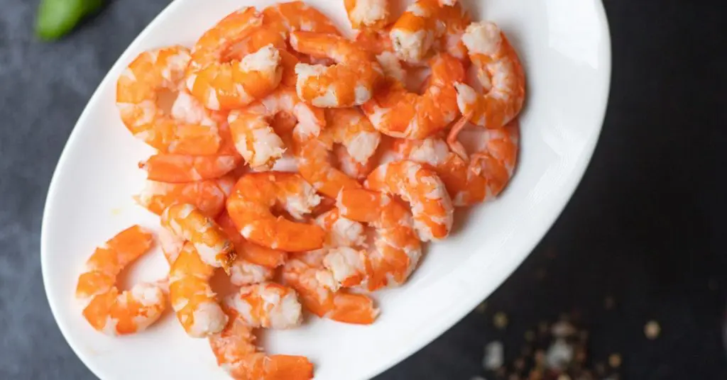 Can Dogs Eat Shrimp?
