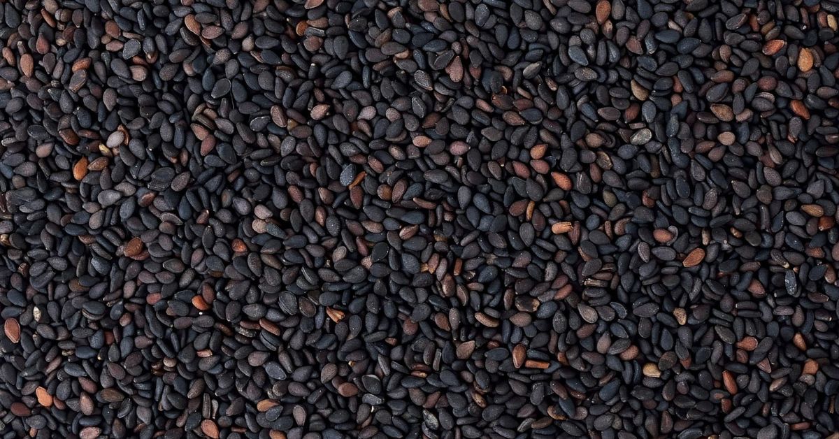 Black Sesame
