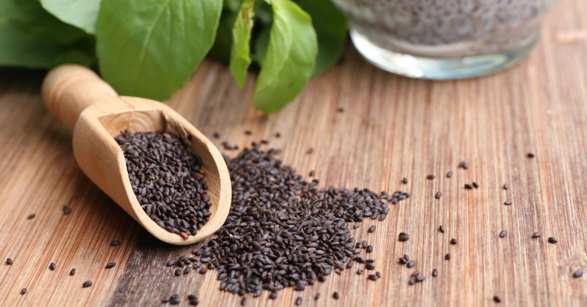 Can Dogs Eat Basil Seeds