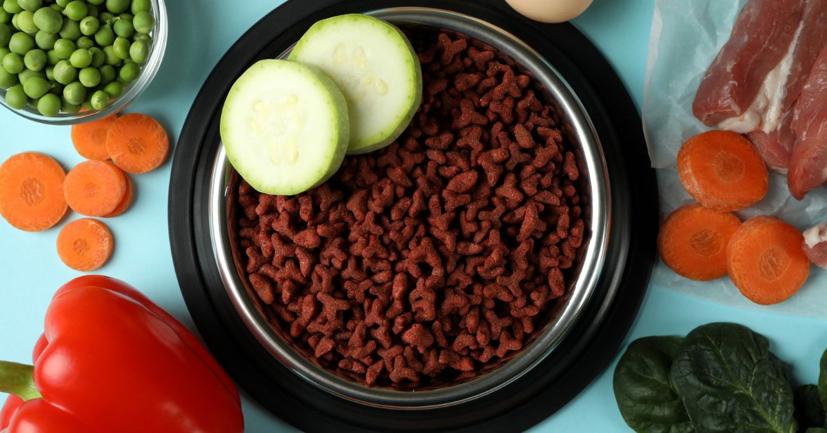 homemade dog food for dogs with skin allergies